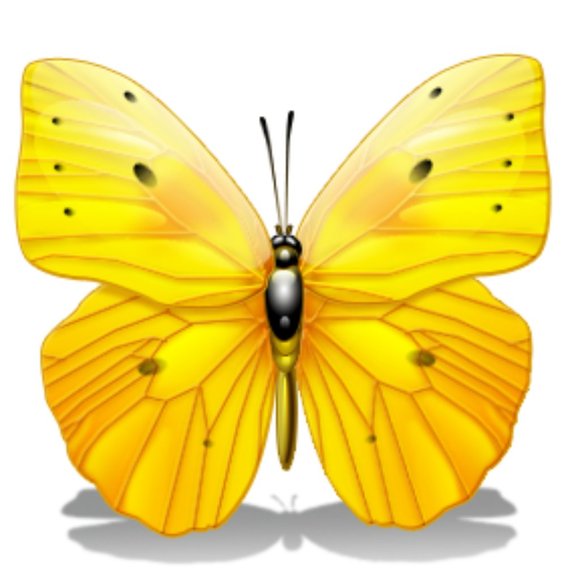 Meet your Posher, Janis - Picture 1 of 3